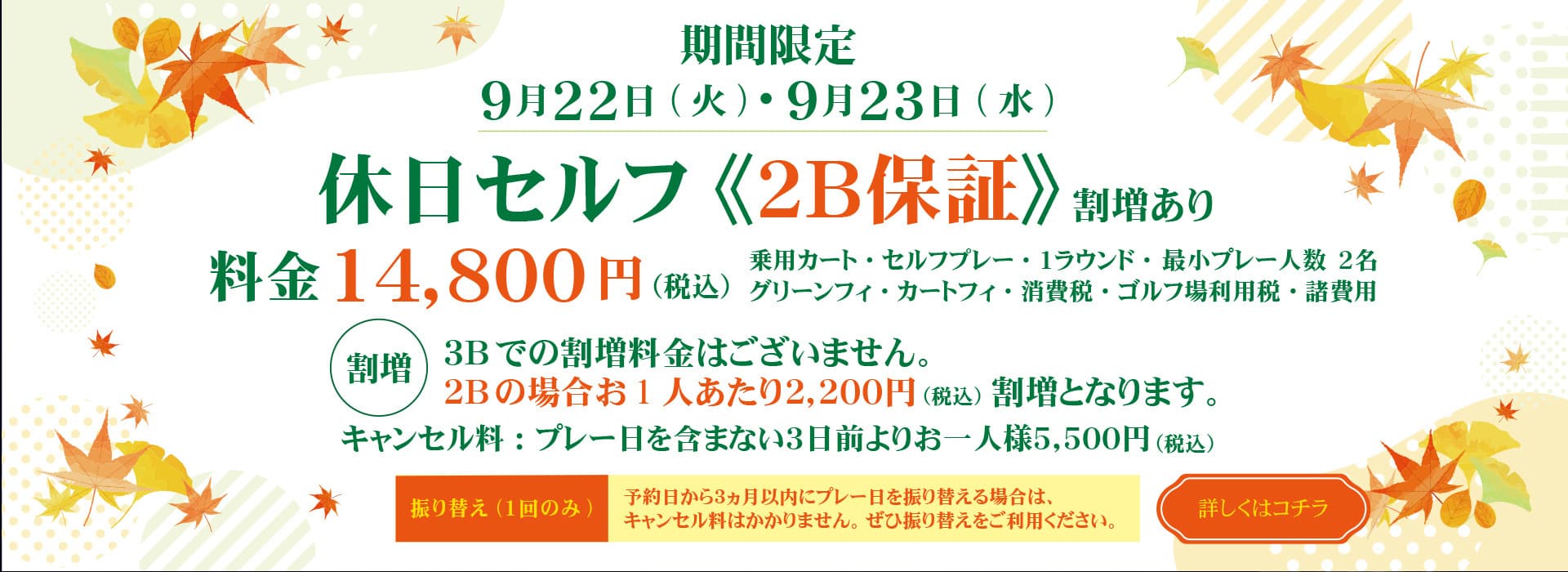 top_2609_2b.jpg